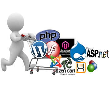 Web Development